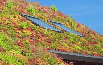 Aston Heath living roof systems
