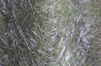 Aston Heath fibreglass roof work